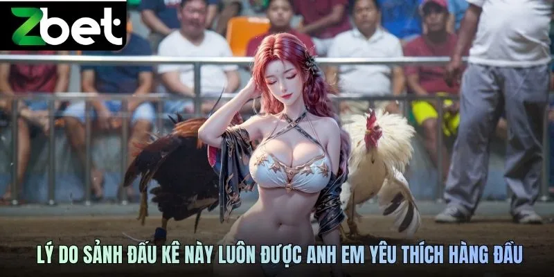 Lý do sảnh đấu kê này luôn được anh em yêu thích hàng đầu