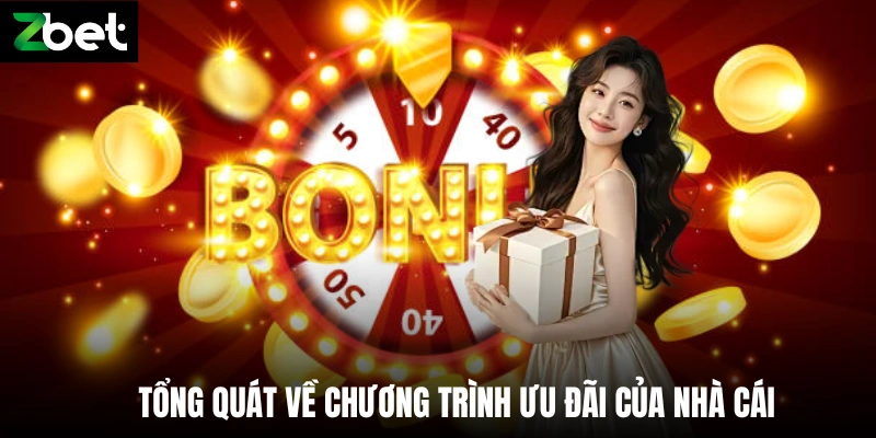 Tổng quát về chương trình ưu đãi của nhà cái
